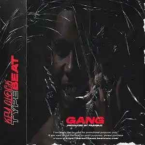 Picture for song '"GANG" - Key Glock x Young Dolph Type Beat' by artist 'FRANSUZ'