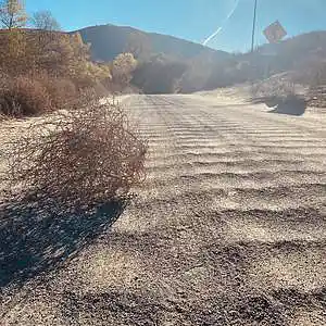 Picture for song 'Carnitas' by artist 'Gagmesharkoff'