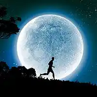Picture for song 'Running in the Night ' by artist 'Gail And Charlie Davis'