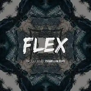 Picture for song 'Flex' by artist 'Parabellum Beats'