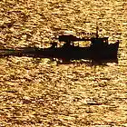 Picture for song 'cologne 2' by artist 'Spfland'