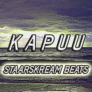 Picture for song 'Kapuu' by artist 'Staarskream Beats'