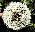 Picture for song 'String Loop#7' by artist '7StringJazz'