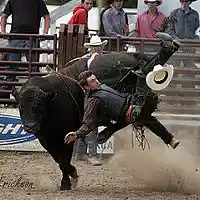 Picture for song 'Ghetto Rodeo- Prod by Kay Ready(free download)' by artist 'Beats by KayReady'