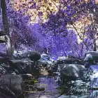 Picture for song 'Eyes of the Majestic' by artist 'Chives'