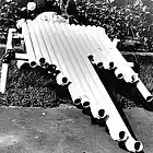 Picture for song 'Trio for Pan Tuba partial' by artist 'Dollar Bill and the Unmentionables'