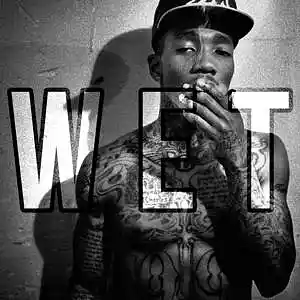 Picture for song 'Wet Free Download' by artist 'Frankenstein Beats'