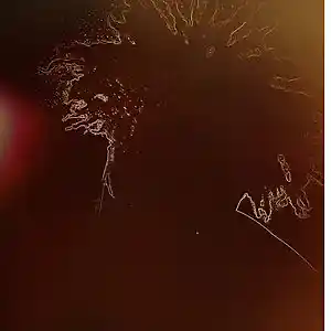 Picture for song 'Who Knew (instrumental)' by artist 'Jjemerson3'