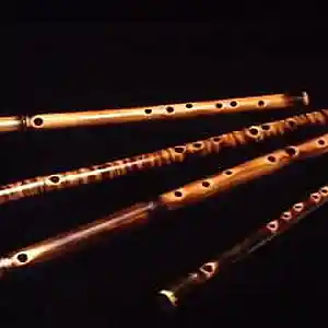 Picture for song 'Flutes' by artist 'LevelzUpOnEm'