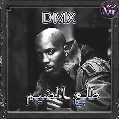 Picture for song 'DMX TYPE BEAT - TL3 DIM' by artist 'N1PROOF BEATS'