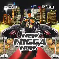 Picture for song 'New N*gga Now (Produced by Shawty Trap)' by artist 'ShawtyTrapBeats'