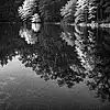Picture for song '[FREE] Dark vibe * HIP HOP BEAT * BOOM BAP BEAT' by artist 'S.A.I beats'