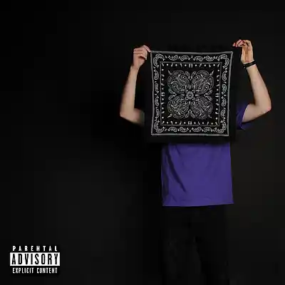 Picture for song 'lone stoner' by artist 'Toby's Beats'
