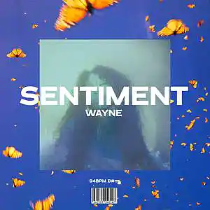 Picture for song 'SENTIMENT' by artist 'wayne.prods'