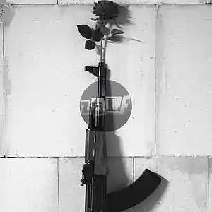 Picture for song 'CALL OF BEAUTY Hip Hop motivational beat' by artist 'Zalfprod'