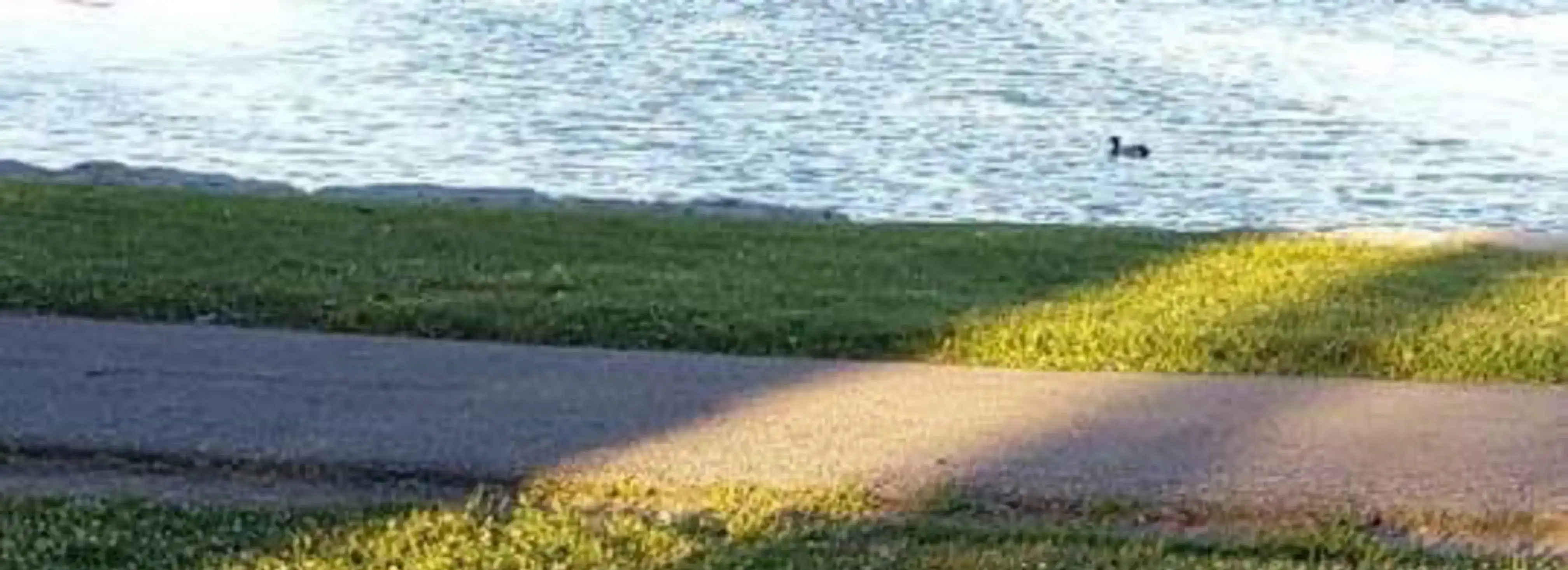 cover pic