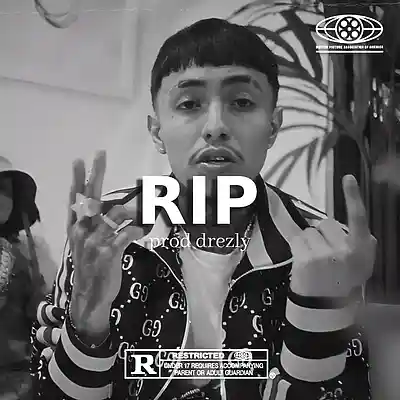 Picture for song '"RIP" Detroit Sample Type Beat' by artist 'drezly'