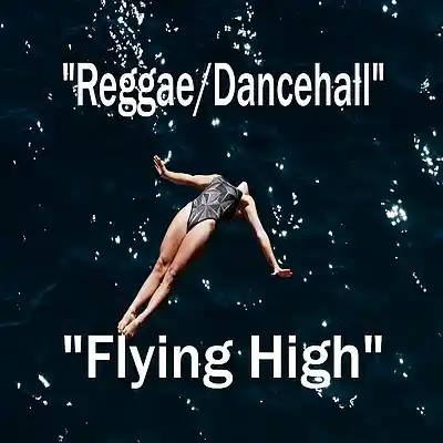 Picture for song 'Flying High - Reggae/Dancehall' by artist 'JVH Production Beats'