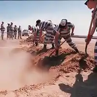 Picture for song 'Chain Gang Instrumental ' by artist 'Kin Folk Beats'