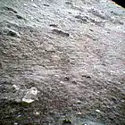 Picture for song 'clowedeee man' by artist 'labbor'