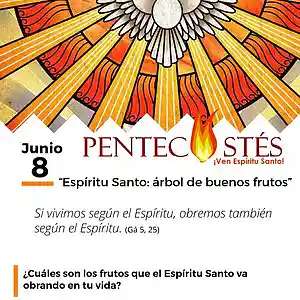 Picture for song 'Triduo de Pentecostes - 8 de junio' by artist 'Producciones Vandor'