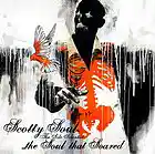 Picture for song 'Soulitary Confinement' by artist 'Scotty Soul the Sole Scientist'