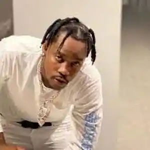 Picture for song 'FIVIO FOREIGN "SELF MADE" [1]' by artist 'storm on da beat'