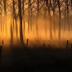 Picture for song '"Glory" #BeatsForSale' by artist 'whoDeanyBeatz'