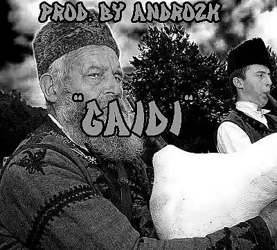 Picture for song 'Boom Bap 2000s x Bulgarian Gaidi Type beat' by artist 'Andro2k'