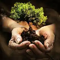 Picture for song '11 Growing In God' by artist 'Beverley Tang'