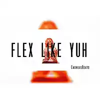 Picture for song 'FlexLikeYuh ' by artist 'Cashualbeats'