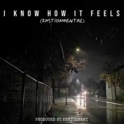 Picture for song 'I Know How It Feels (Boom Bap Beat w/ Hook)' by artist 'Enrichment'