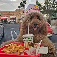 Picture for song 'New wave' by artist 'Heilagr'