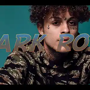 Picture for song 'Dark Rose (70:140bpm)' by artist 'JustMuzikProductions'