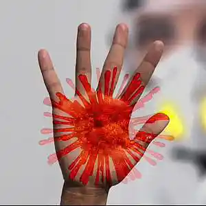 Picture for song 'covid lockdown' by artist 'The FLUKES'