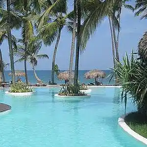 Picture for song 'Mellowed' by artist 'Dream States'