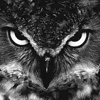 Picture for song 'Nocturnality' by artist 'RioBproduction'