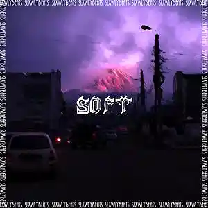 Picture for song '[FREE FOR PROFIT] JUICE WRLD X XXXTENTACION TYPE B' by artist 'SXLWLY'