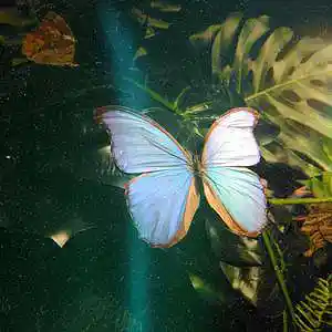 Picture for song 'Summer 09' by artist 'The Wave Beats'