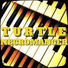 Picture for song 'ORGANics' by artist 'Turtle Necromancer'