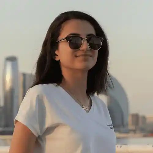 Picture for song 'Track Your Passport Status (Remix)' by artist 'Alina Dar'