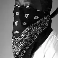 Picture for song 'Skee :: (GANXTA!)' by artist 'Def Street'