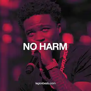 Picture for song 'No Harm (Instrumental)' by artist 'Legion Beats and Hooks'