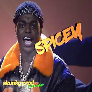Picture for song 'Spicey * Kodak Black type beat' by artist 'Skunky Prod Beatmaker'
