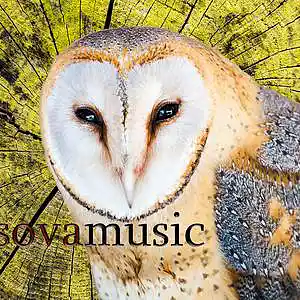 Picture for song 'sovamusic - urbanshit' by artist 'sovamusic'