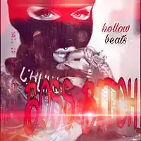 Picture for song 'Boss bitch prod. By hollow beats prod.' by artist 'Stand alone nation'