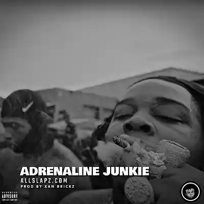 Picture for song 'ADRENALINE JUNKIE [ytb fatt, big yavo, mudbaby ru]' by artist 'Xan Brickz'