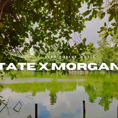 Picture for song 'Tate McRae & Morgan Wallen Type Beat-Tate X Morgan' by artist 'Alex Thrive Music'