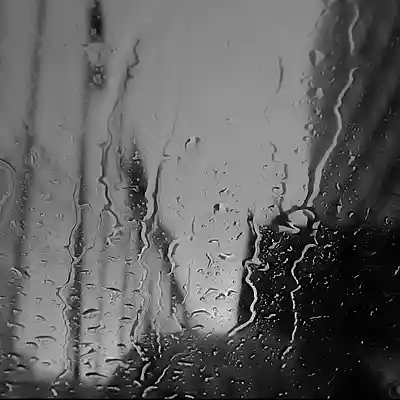 cover pic