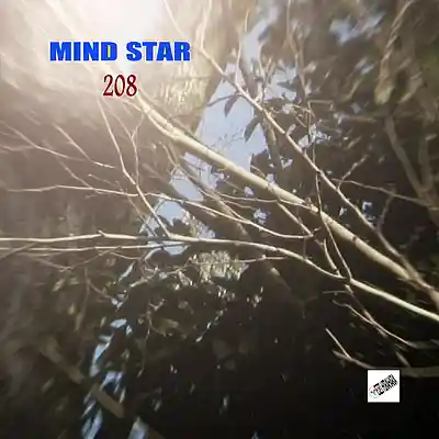 Picture for song 'Mind Star 208' by artist 'Eizi Hirahara'